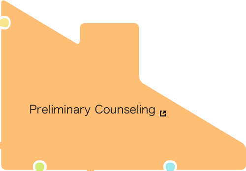 Preliminary Counseling